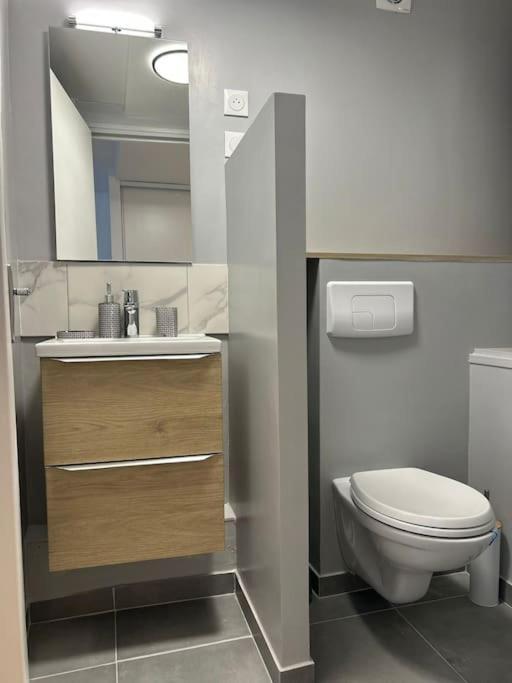 New Cosy House 15 Min Paris Roissy Cdg & 6 Min Parc Asterix I Villepinte Vemars Kültér fotó